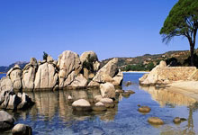 天涯神贴1000是天涯论坛上一个超级经典的帖子，后来成为很多人回忆的焦点，里面的故事让我眼前一亮！